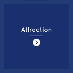 Attraction